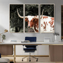 Texas Longhorn Wall Art Canvas Print – Framed Spotted Bull