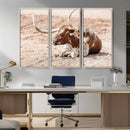 Texas Longhorn Wall Art – Framed Resting Bull Canvas by MyGreatCanvas | Canvas Wall Art Prints | Photo Prints & Wall Decor