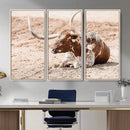 Texas Longhorn Wall Art Canvas Print – Framed Resting Bull by MyGreatCanvas | Canvas Wall Art Prints | Photo Prints & Wall Decor