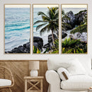 Tropical Coastline Wall Art Canvas Print – Framed Palm Tree