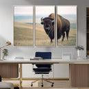 Bison Wall Art Canvas Print – Framed Buffalo American Bison