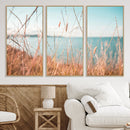Coastal Grass Landscape Wall Art Canvas Print – Golden