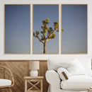 Joshua Tree Wall Art Canvas Print – Framed Southwestern
