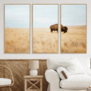Buffalo Wall Art Canvas Print – Framed Western Wildlife by MyGreatCanvas | Canvas Wall Art Prints | Photo Prints & Wall Decor