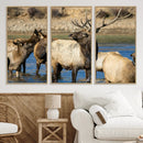 Wild Elk Wall Art Canvas Print – Framed Neutral Wildlife