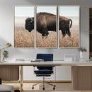 American Bison Wall Art Canvas Print – Majestic Buffalo