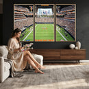 Chicago Bears Soldiers Field Wall Art Canvas Print – Framed