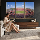 William Brice Stadium Wall Art Canvas Print – Stadium Crowd
