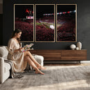 William Brice Stadium Wall Art Print – Baseball Game Room