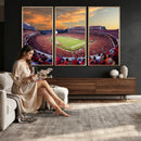 Dooley Stadium Wall Art, Sports Arena Canvas Print, Dooley