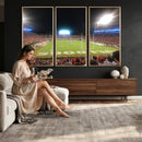 Dooley Stadium Wall Art, Sports Arena Panoramic Canvas