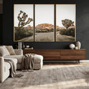 Joshua Tree Desert Wall Art Canvas Print, Minimal by MyGreatCanvas | Canvas Wall Art Prints | Photo Prints & Wall Decor