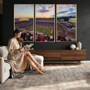 Donald W. Reynolds Razorback Stadium Wall Art Canvas Print –