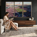 Donald W. Reynolds Razorback Stadium Wall Art Canvas Print –