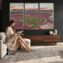 Donald W. Reynolds Razorback Stadium Wall Art Canvas Print –