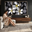 Plumeria Frangipani Black Stone Canvas | White Flower Spa by MyGreatCanvas | Canvas Wall Art Prints | Photo Prints & Wall Decor