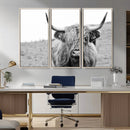 Newfoundland Cow Art Wall Art, Black White Cow Art Wall Art