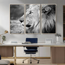Lion Wall Art Canvas Print – Framed Majestic Wildlife by MyGreatCanvas | Canvas Wall Art Prints | Photo Prints & Wall Decor
