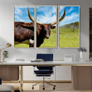 Longhorn and Cow Wall Art, Country Cow Wall Decor Canvas by MyGreatCanvas | Canvas Wall Art Prints | Photo Prints & Wall Decor