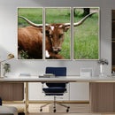 Longhorn Steer Canvas Wall Art – Rustic Nature Triptych