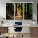Sunlit Forest Pathway Canvas Print | 3 Panel Large Nature by MyGreatCanvas | Canvas Wall Art Prints | Photo Prints & Wall Decor