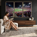 Washington-Grizzly Stadium Canvas Print, American Football