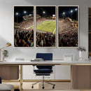 Washington-Grizzly Stadium Canvas Wall Art – Exciting Game