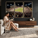 Washington-Grizzly Stadium Canvas Wall Art – Exciting Game