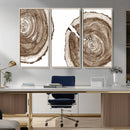 Wood Tree Ring Wall Art Canvas Prints, Tree Rings –