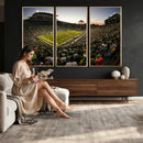 Oregon Stadium Canvas Wall Art - Captivating Game Day Scene