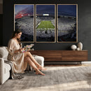 Penn State University Nittany Lions Football Team Print -