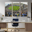 Boca Juniors Soccer Team Print Wall Art - Buenos Aires