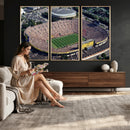 Michigan Wolverines Football Team Print - Ann Arbor Michigan