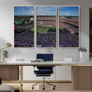 South Carolina Gamecocks Football Team Print - Columbia