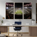 Eagles Field Stadium Wall Art - Philadelphia Eagles Football