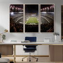 Eagles Field Stadium Wall Art - Philadelphia Eagles Football