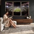 Eagles Field Stadium Wall Art - Philadelphia Eagles Football
