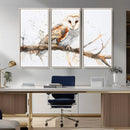 Barn Owl Wall Art on Branch | Stunning Canvas Print for