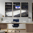 Enterprise Center Missouri St. Louis Blues Hockey Stadium