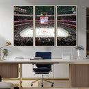 Honda Center California Anaheim Ducks Ice Hockey Stadium