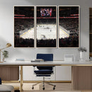 T Mobile Arena Paradise Nevada Vegas Golden Knights Ice