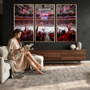 Carolina Hurricanes Ice Hockey Stadium Wall Art, Carolina