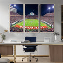 NC State Wolfpack Canvas Print - Raleigh Carter-Finley