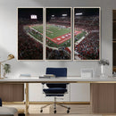 Houston Cougars Football Team Print - Houston TDECU Stadium