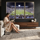 Brigham Young University Cougars Football Print Canvas -