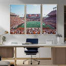 Framed Texas Memorial Stadium Canvas, University of Texas