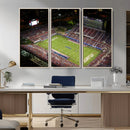 Florida Atlantic University Owls Canvas Print, Football Team by MyGreatCanvas | Canvas Wall Art Prints | Photo Prints & Wall Decor