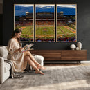University of Illinois Fighting Illini Football Team Print -