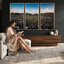 University of Charlotte 49ers Football Team Print -