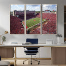 University of Nebraska Cornhuskers Football Team Print - by MyGreatCanvas | Canvas Wall Art Prints | Photo Prints & Wall Decor